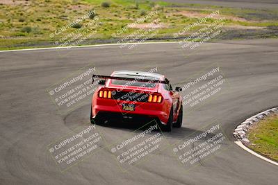 media/Feb-25-2024-Speed Ventures (Sun) [[b9a2a97a4d]]/Mustang Drivers Club/Session 1 (Turns 4 and 5)/